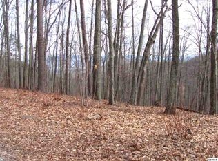 29 Old Laurel Ln LOT 29, Sevierville, TN 37876