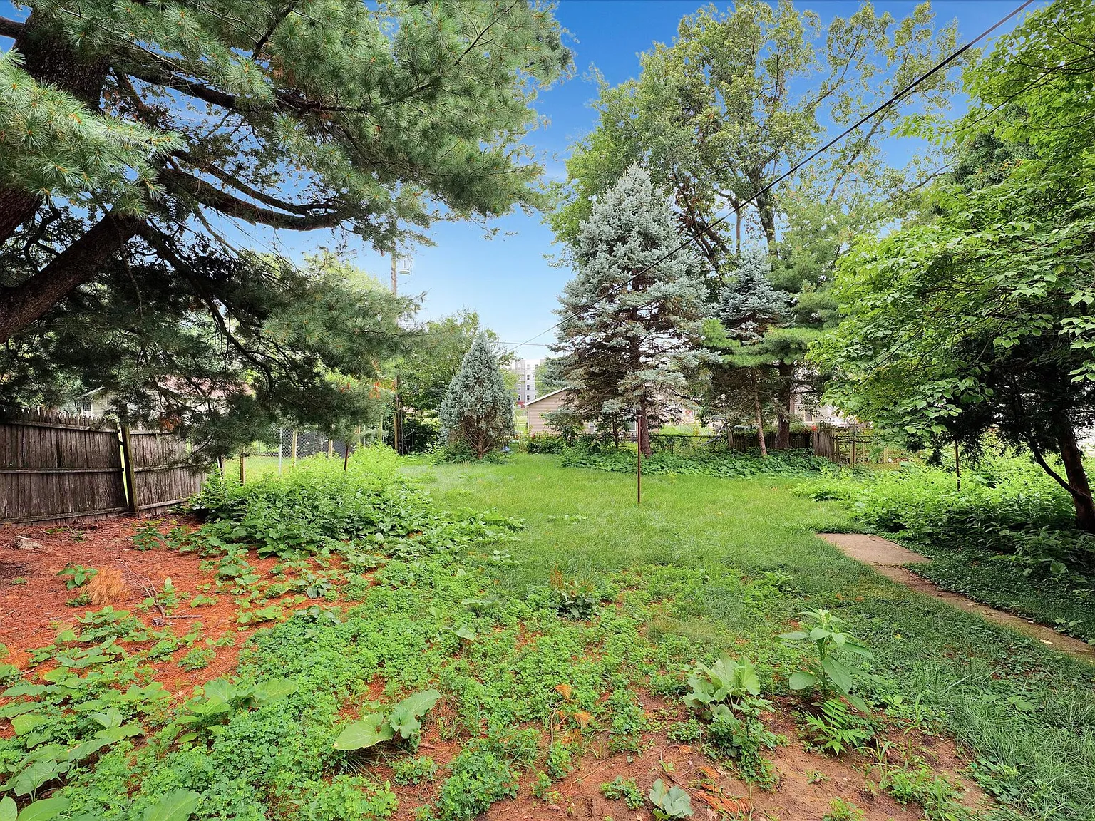 1113 West Hill Street - Apt 1 garden unit — Photo 3