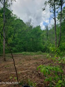 397 Moore Hollow Rd, Newport, TN, 37821