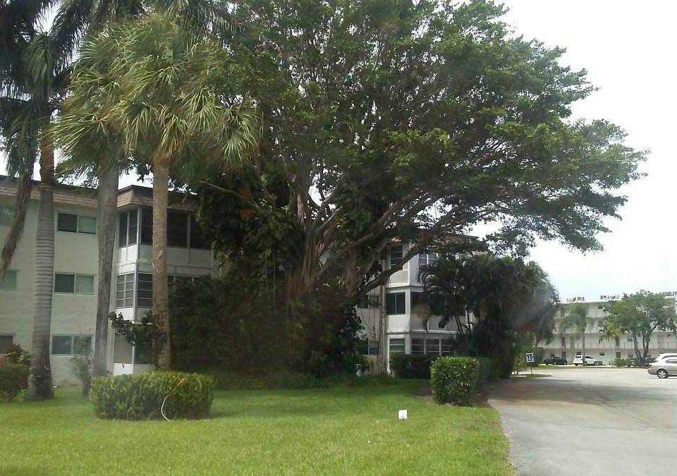 Neighborhood