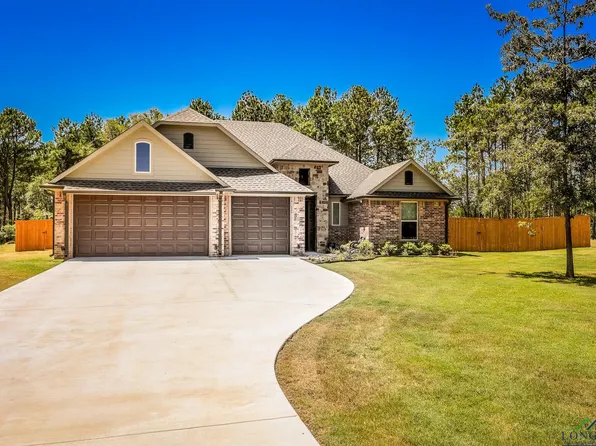 171 Heather Ln, Diana, TX 75640