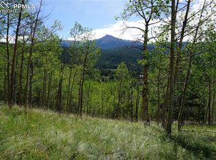 301 Calcite Dr, Divide, CO 80814