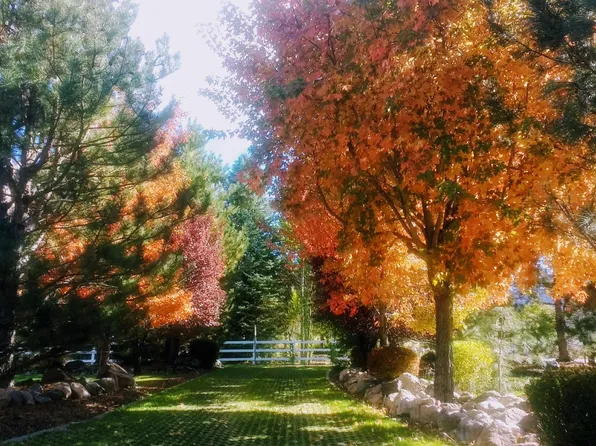 406 Corie Ct, Gardnerville, NV 89460
