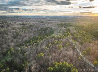 62.90 Slaughter Rd, Licking, MO 65542