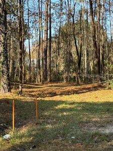 0 W Main St, Ridgeland, SC, 29936