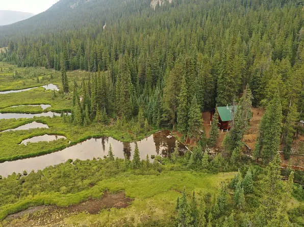14901 County Road 765, Almont, CO 81210