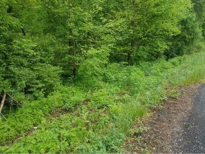 4105 Cosby Hwy, Cosby, TN, 37722