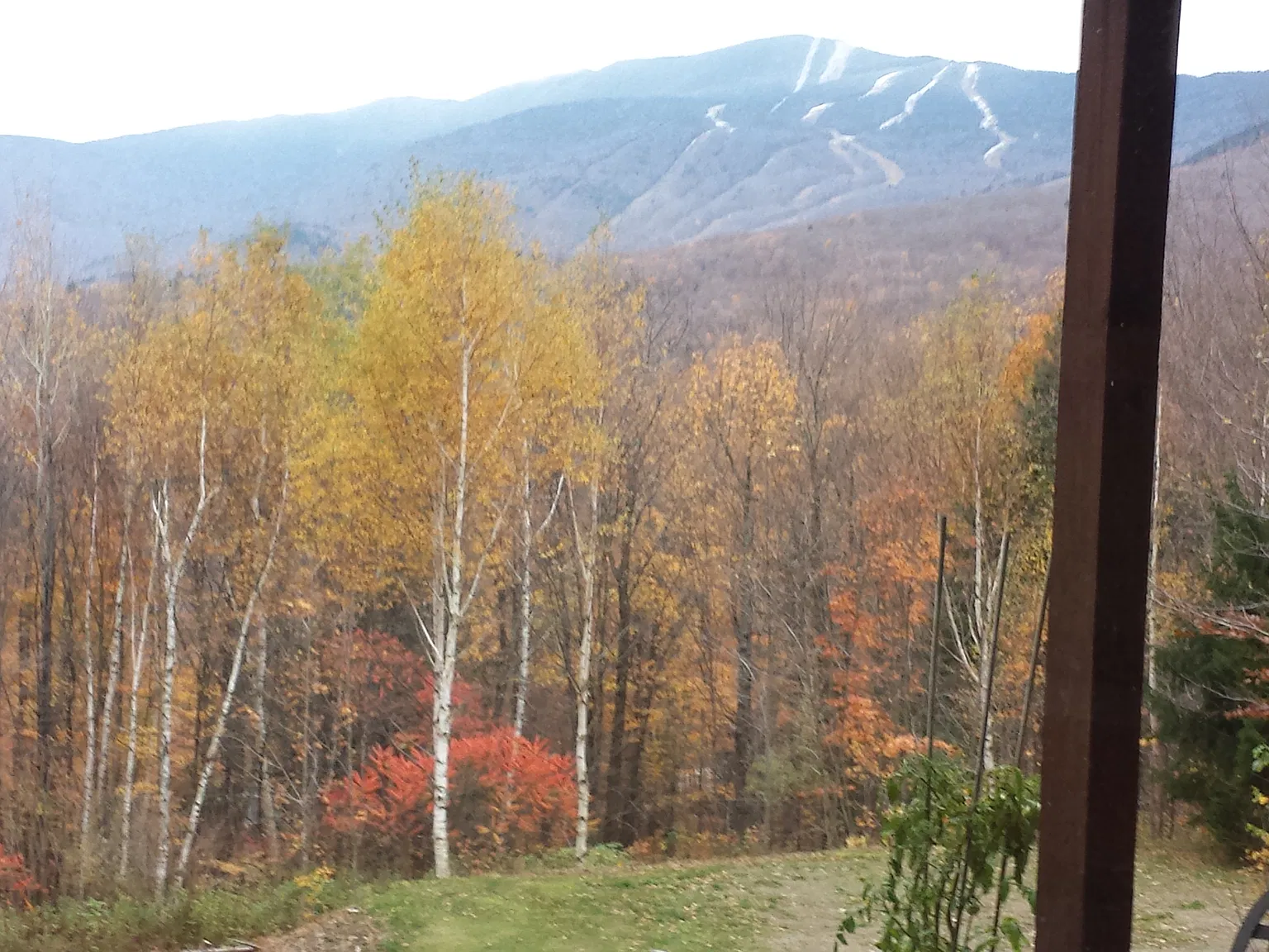 1 bed, 800 sqft, $14,000 — Photo 2