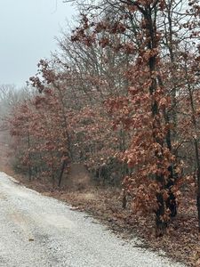 Xxx Anthony Lane UNIT Tract 4, Joplin, MO, 64804