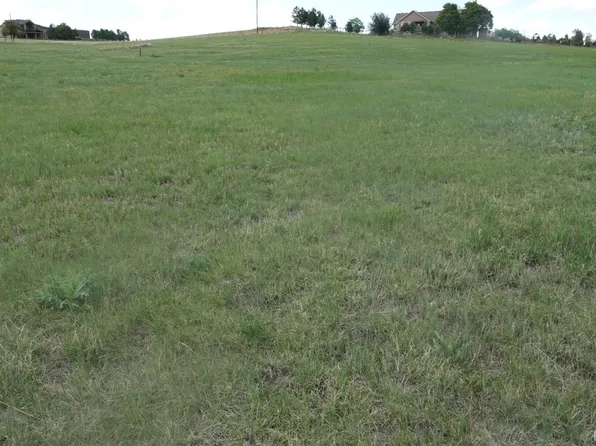 3131 Antelope Ridge Trail LOT 201, Parker, CO 80138