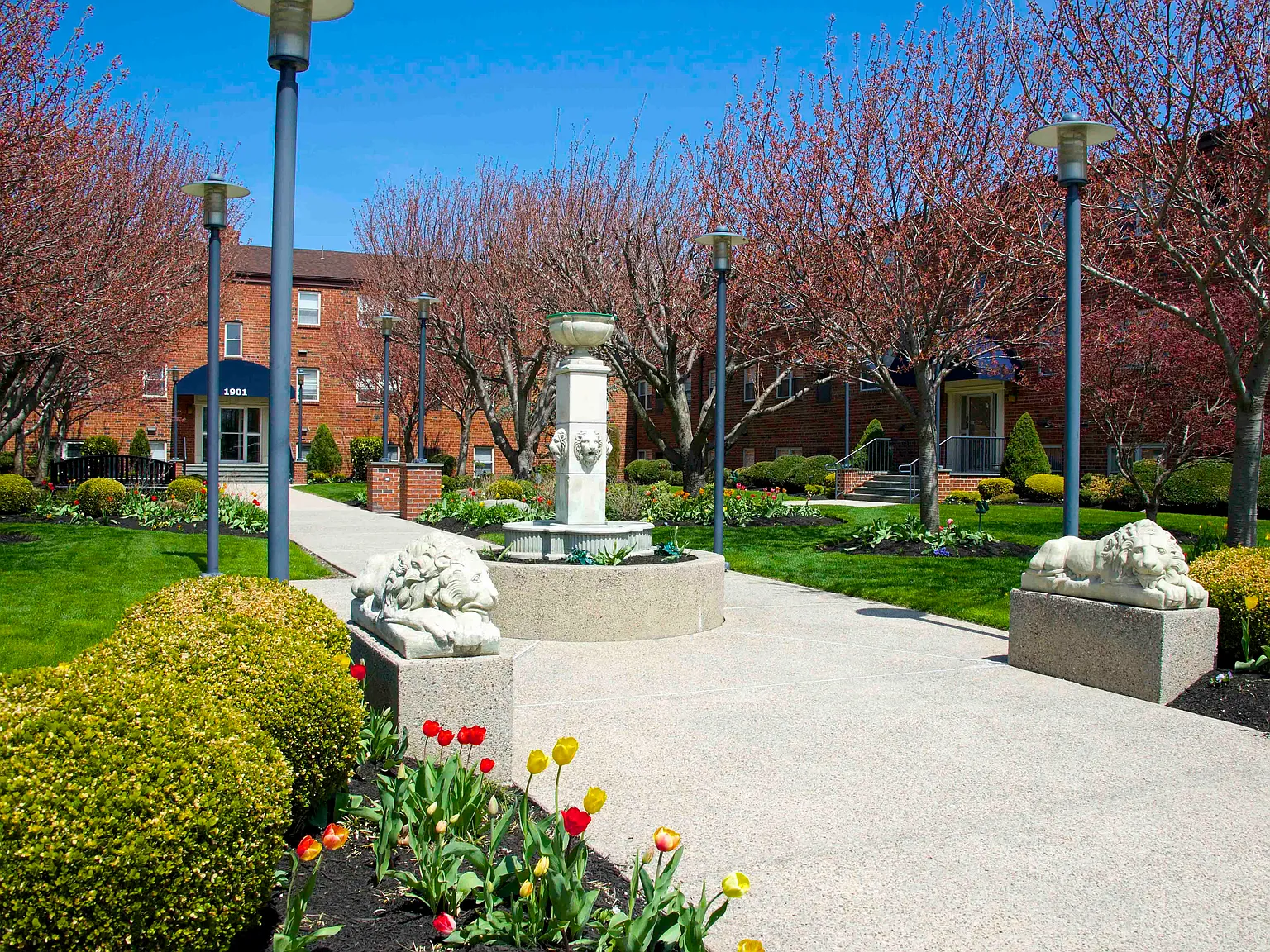 Packer Park Court — Photo 2
