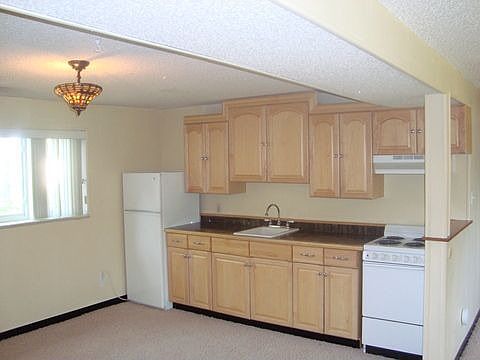 Lower Level Recroom Kitchenette