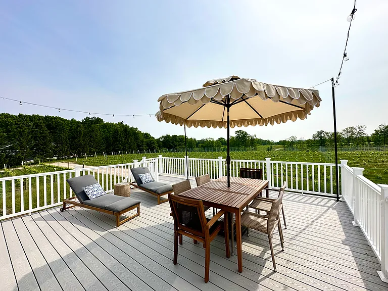 The expansive back deck has a seasonal furniture setup