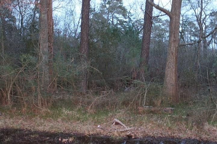 1st image of 6815 Ackley Dr