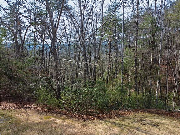 4th image of 318 Ginseng Dr