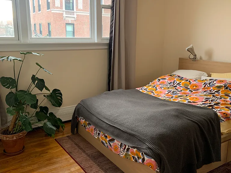 3 Gloucester St #11 — Photo 8