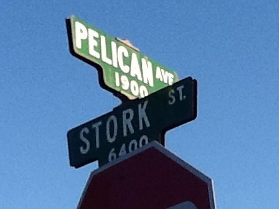 5th image of 1956 Pelican Ave