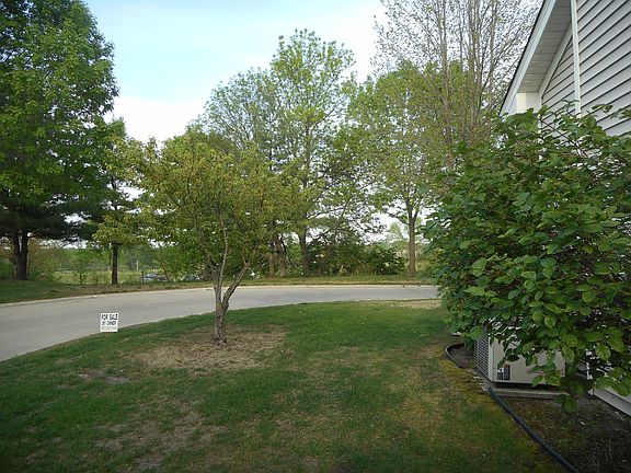 View from the Living Room