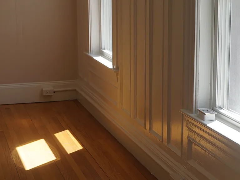 Beautiful afternoon sunlight reflecting into the newly painted dinning room.