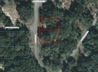 LOT 9 Magnolia Drive Pl, Ocklawaha, FL 32179