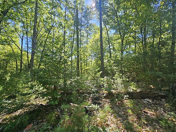 5th image of 9F Pequawket Trail