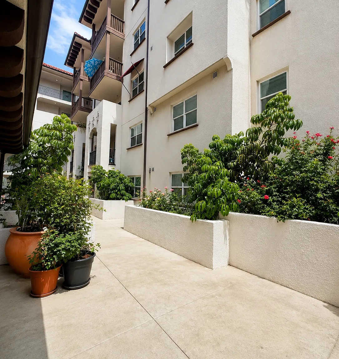 The Paseo at Californian — Photo 1