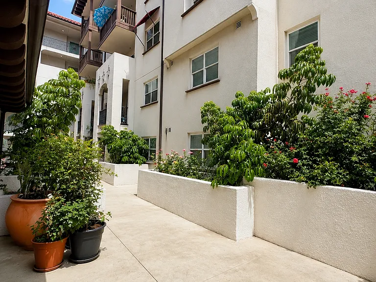 The Paseo at Californian — Photo 1