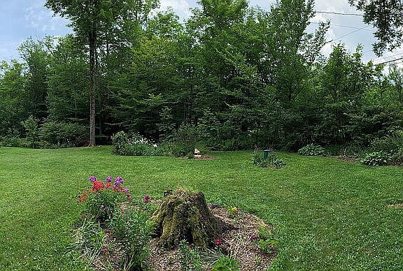 Front Yard