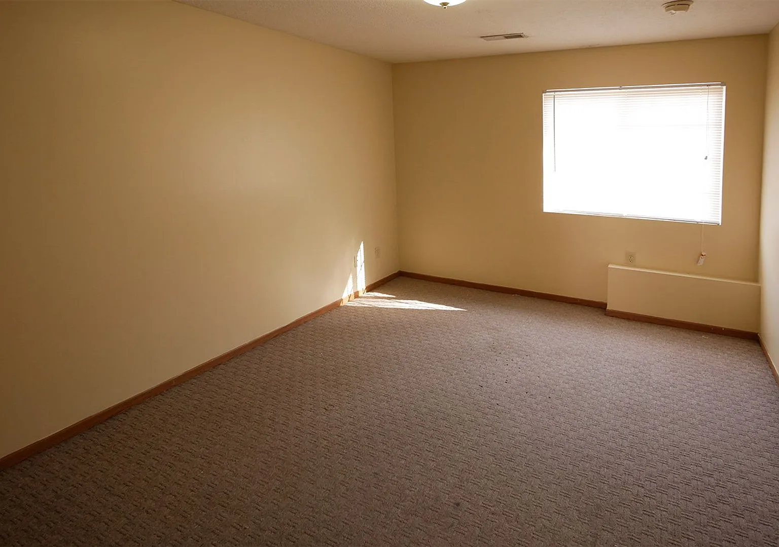 Bluestone — Photo 2