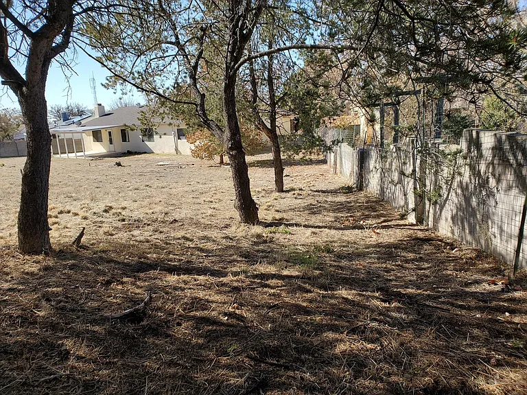 from far NE corner, pinon trees, walled yard, covered patio