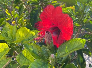 3079 Rambler Ave #E, Saint Cloud, FL 34772