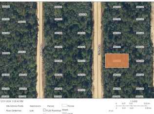 Usina Avenue Lot #6, Interlachen, FL 32148