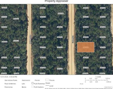 Usina Avenue Lot #6, Interlachen, FL, 32148