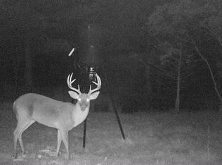 0 Norris Dr, Walterboro, SC 29488