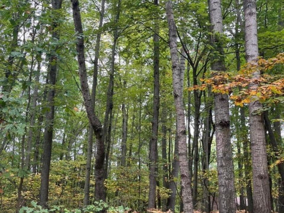 1st image of LOT 681 Elm Run