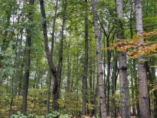 LOT 681 Elm Run, Farwell, MI 48622