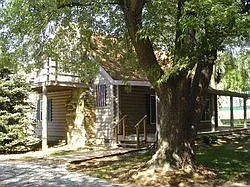 4358 E Shady Ln photo 1
