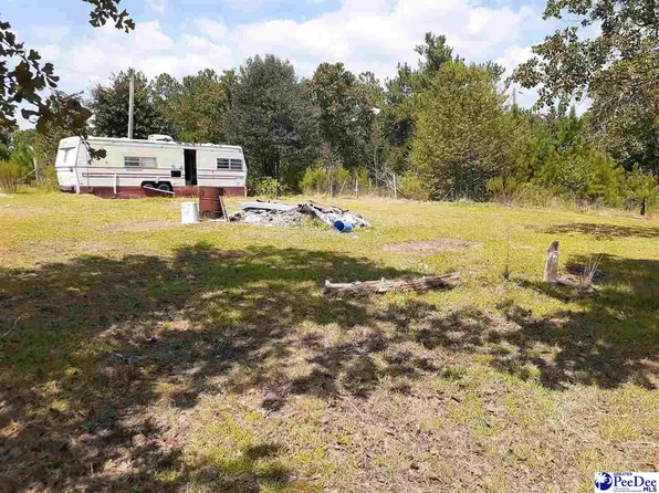 4776 Hillside Rd, Wallace, SC 29596