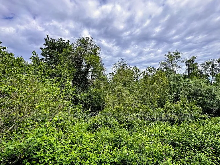 3206 Pine Rd NE #C14 — Photo 14