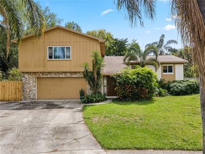 8510 Cedar Cove Ct, Orlando, FL, 32819