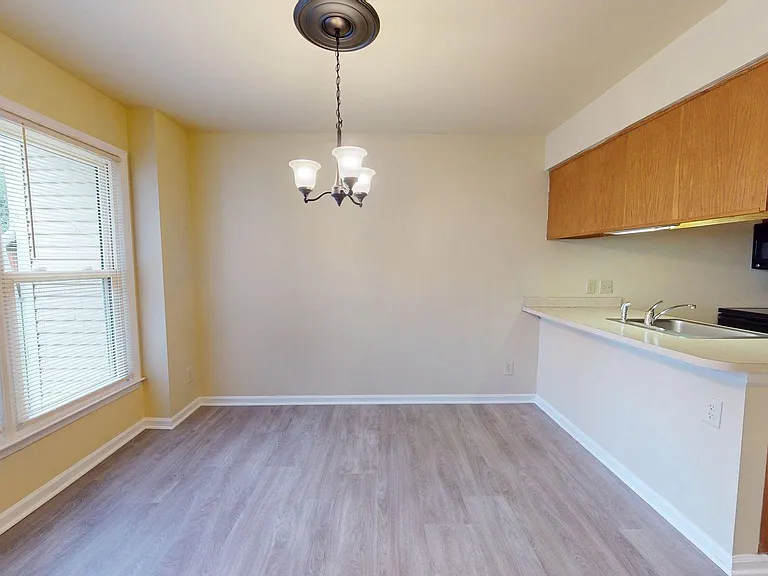 6008 Chestnut Hollow Ct — Photo 10