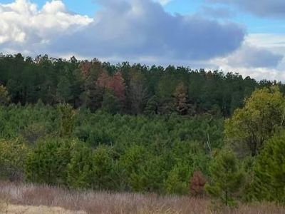 Hidden Pines Loop LOT 10, Broken Bow, OK, 74728