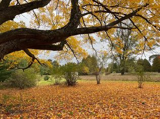 18087 Pierce Rd PARCEL 1, Stanwood, MI 49346