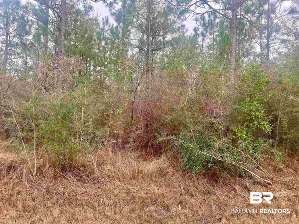 0 John Shinn Rd, Chunchula, AL 36521