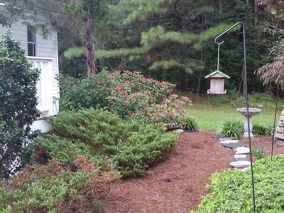 natural patio area