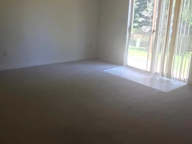 791 Nighthawk Cir — Photo 7
