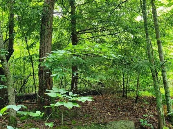 L5 Cumberland Lakes Dr, Monterey, TN 38574