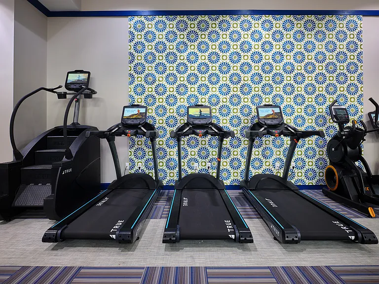Fitness Center Treadmills