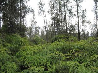 Paradise Rd LOT 90, Pahoa, HI 96778