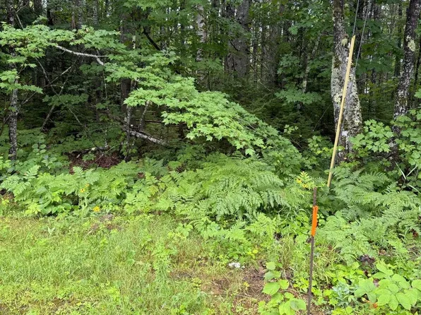 Lot 9B Whites Lane & Marquis Drive, Chesterville, ME 04938